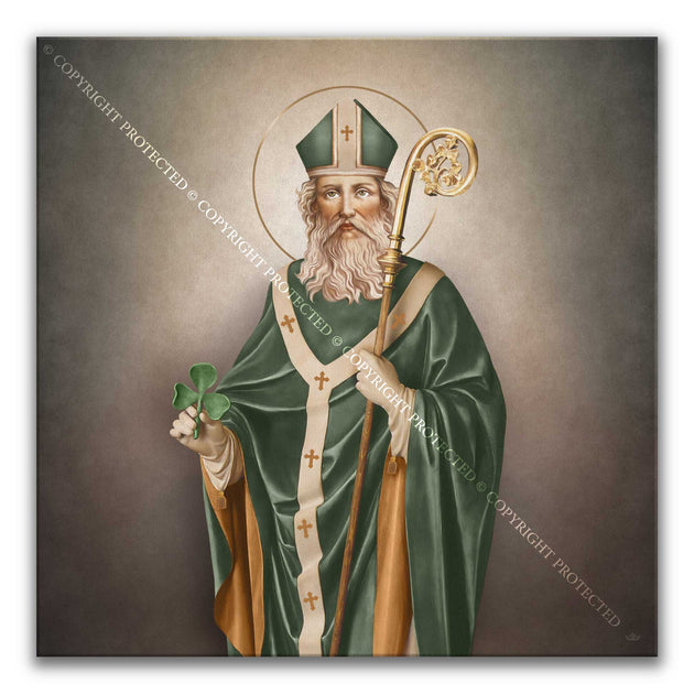 St. Patrick Canvas Print